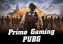 Prime Gaming PUBG (Twitch Prime): наборы Premium Supply Pack